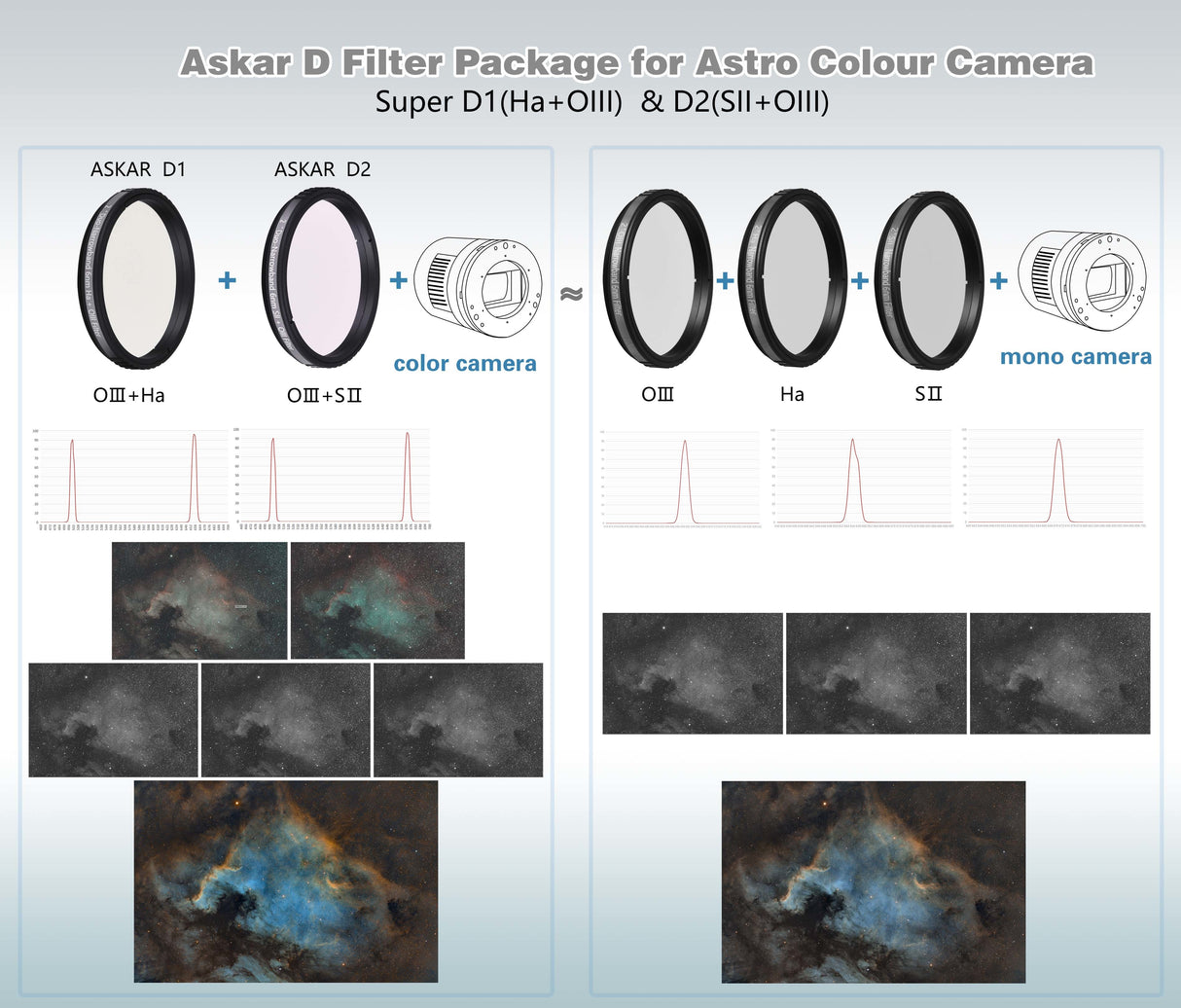 Askar -  Set D1D2