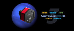 Player One - Neptune664 Couleur